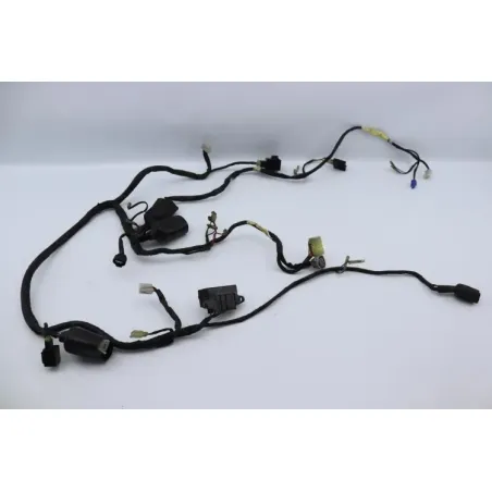 Faisceau electrique YAMAHA TDM 850 1996 - 1998
