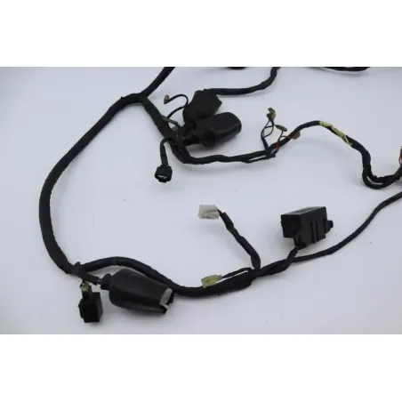Faisceau electrique YAMAHA TDM 850 1996 - 1998