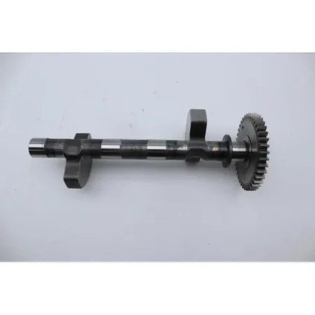 Arbre equilibrage ROYAL ENFIELD CONTINENTAL 650 GT ABS 2019 - 2023