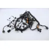 Faisceau electrique KAWASAKI Z 750 2007 - 2013 Faisceau electrique KAWASAKI Z 750 2007 - 2013