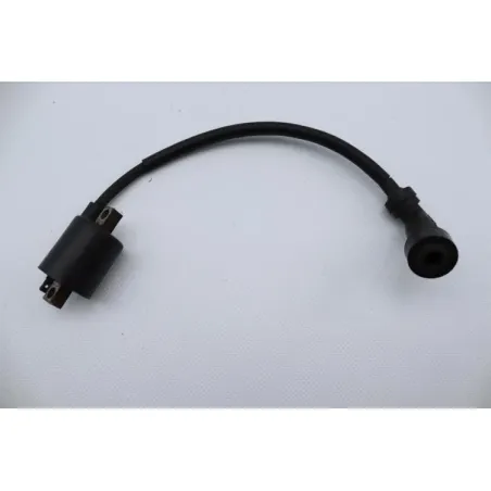Bobine allumage YAMAHA TW 125 2002 - 2007