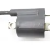 Bobine allumage YAMAHA TW 125 2002 - 2007 Bobine allumage YAMAHA TW 125 2002 - 2007