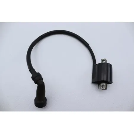 Bobine allumage YAMAHA YBR 125 2005 - 2006
