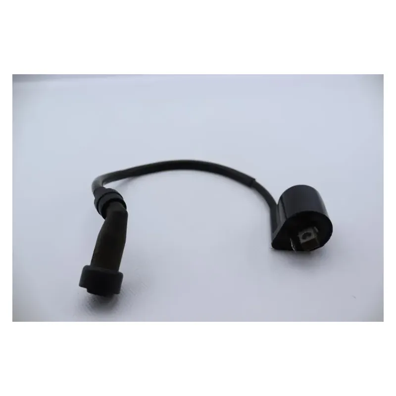 Bobine allumage YAMAHA YBR 125 2005 - 2006