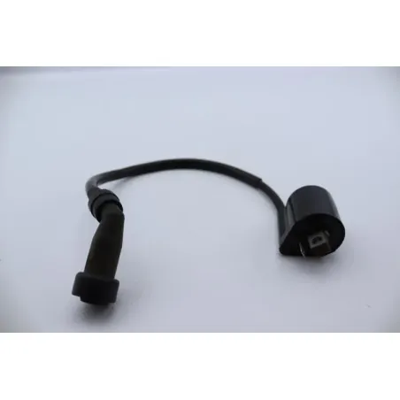 Bobine allumage YAMAHA YBR 125 2005 - 2006