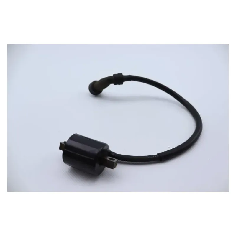 Bobine allumage YAMAHA YBR 125 2005 - 2006