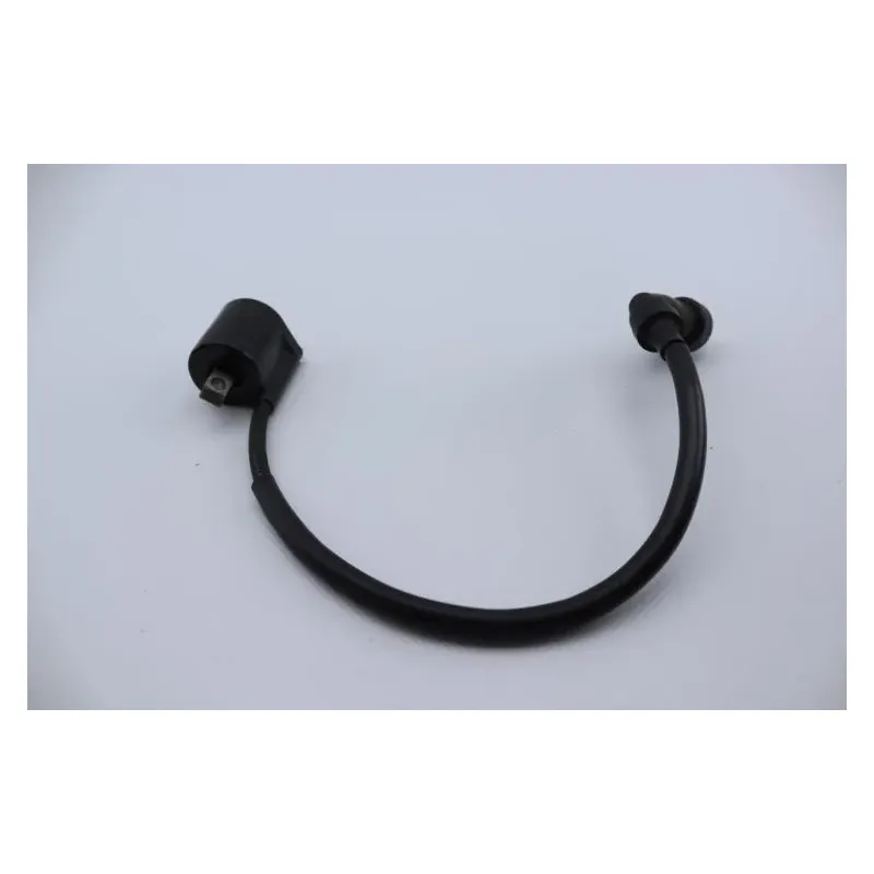 Bobine allumage YAMAHA YBR 125 2005 - 2006