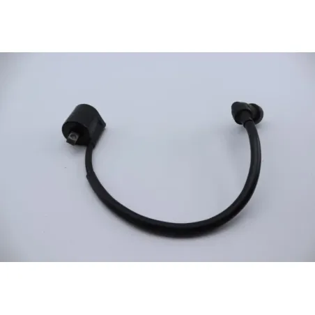 Bobine allumage YAMAHA YBR 125 2005 - 2006