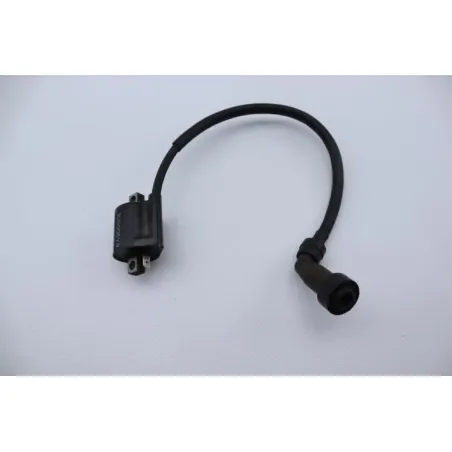 Bobine allumage YAMAHA YBR 125 2005 - 2006