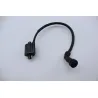 Bobine allumage YAMAHA YBR 125 2005 - 2006 Bobine allumage YAMAHA YBR 125 2005 - 2006