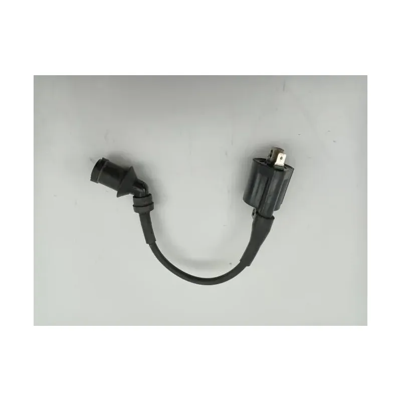 Bobine allumage YAMAHA CW 125 BWS 2010 - 2013