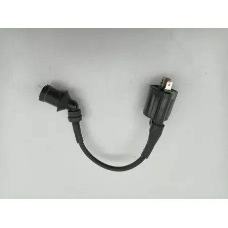 Bobine allumage YAMAHA CW 125 BWS 2010 - 2013