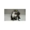Moteur YAMAHA CW 125 BWS 2010 - 2013