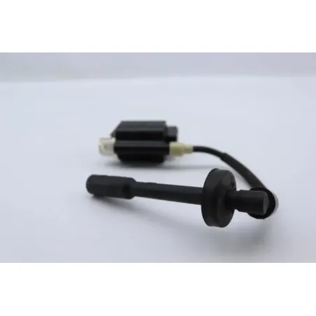 Bobine allumage KTM DUKE 390 2013 - 2016