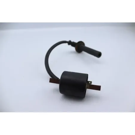 Bobine allumage YAMAHA YZF 450 2005 - 2005