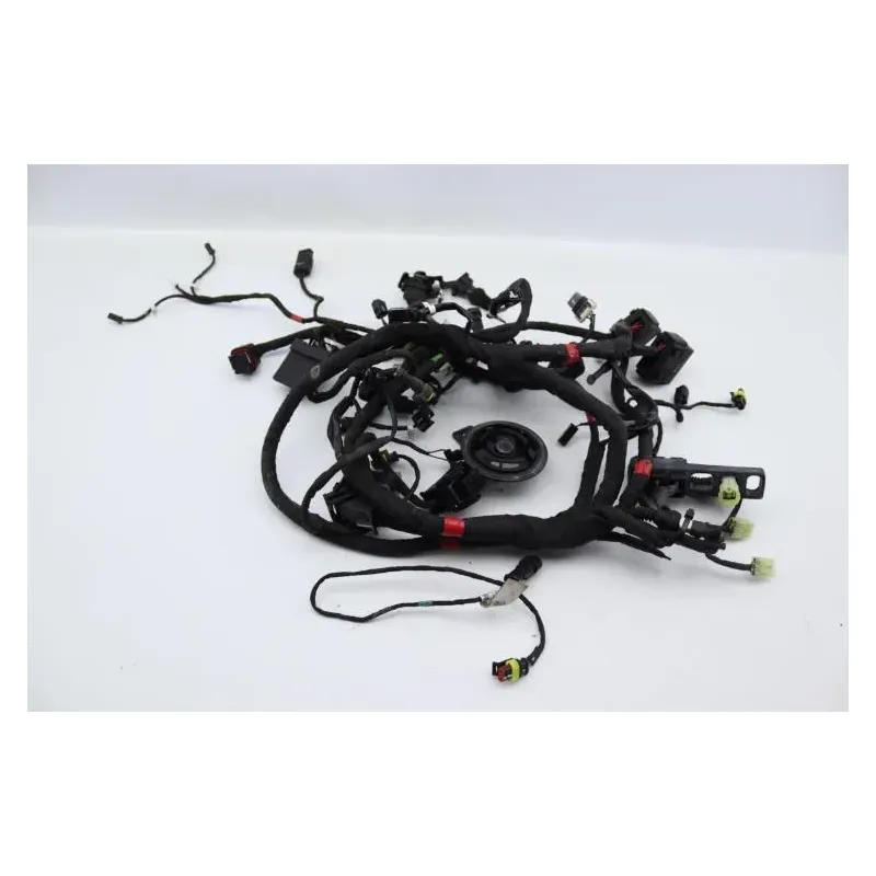 Faisceau electrique DUCATI MONSTER 1200 S ABS 2014 - 2016