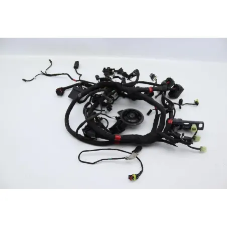 Faisceau electrique DUCATI MONSTER 1200 S ABS 2014 - 2016