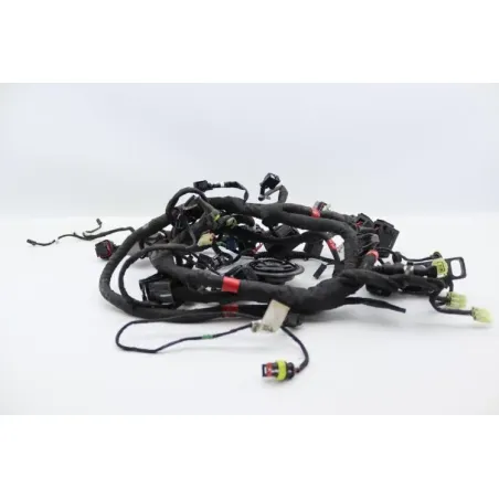 Faisceau electrique DUCATI MONSTER 1200 S ABS 2014 - 2016