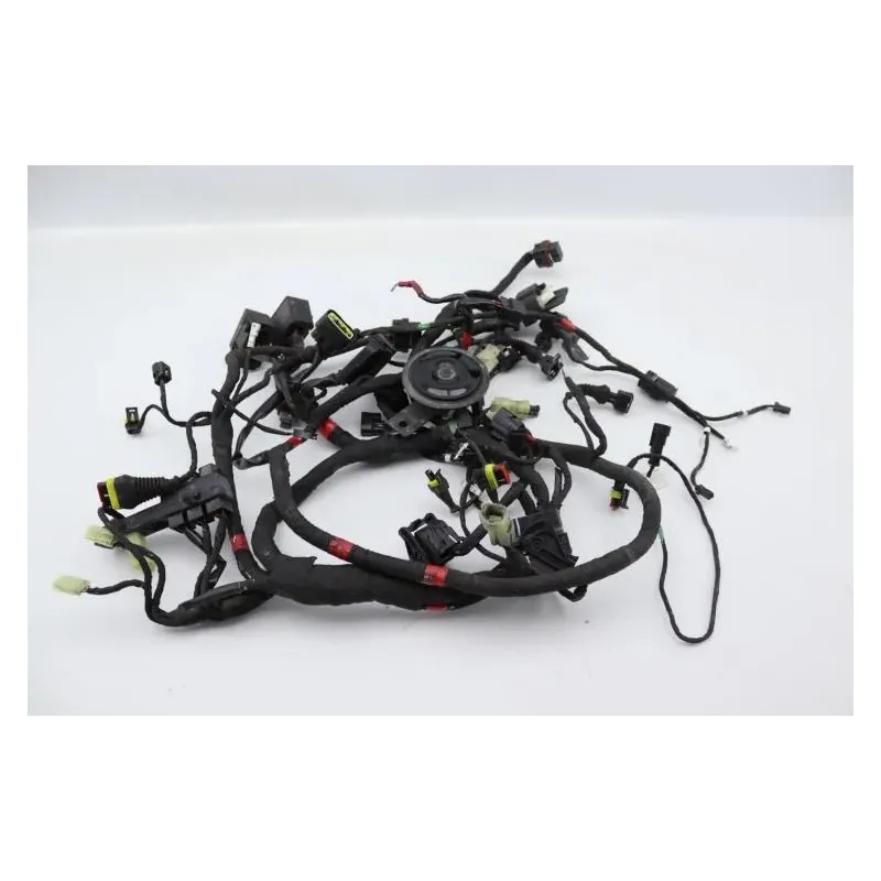 Faisceau electrique DUCATI MONSTER 1200 S ABS 2014 - 2016