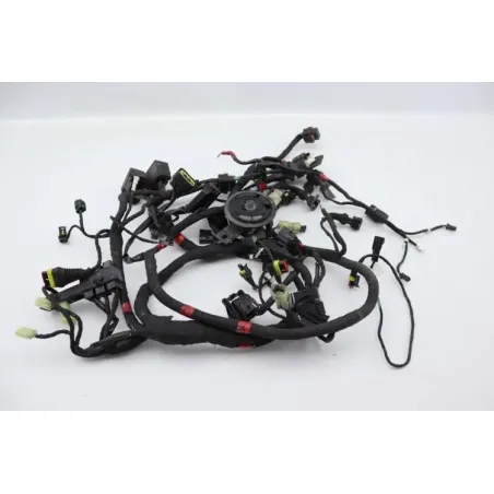 Faisceau electrique DUCATI MONSTER 1200 S ABS 2014 - 2016