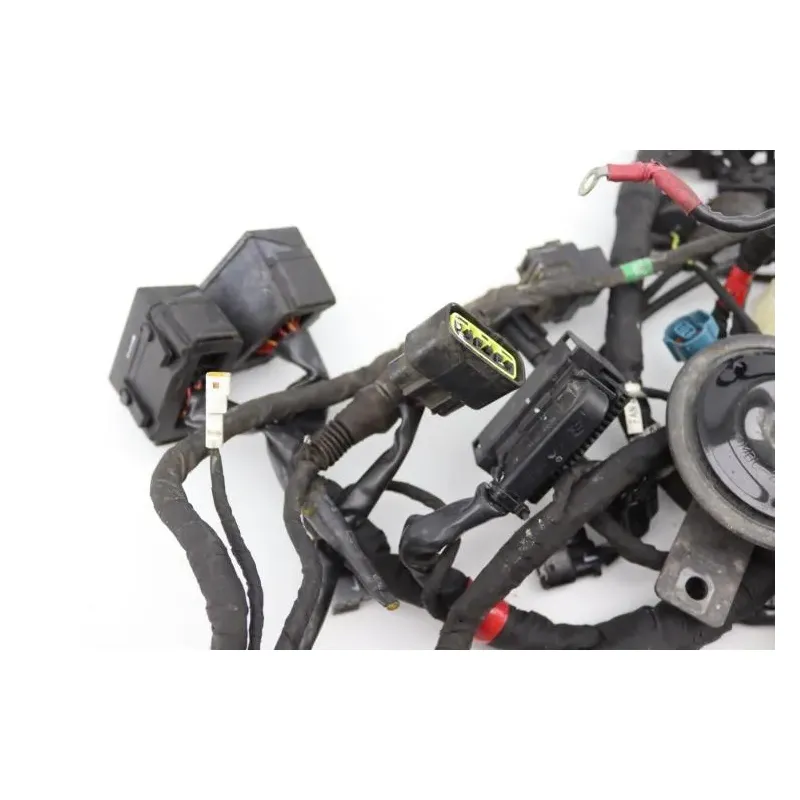 Faisceau electrique DUCATI MONSTER 1200 S ABS 2014 - 2016
