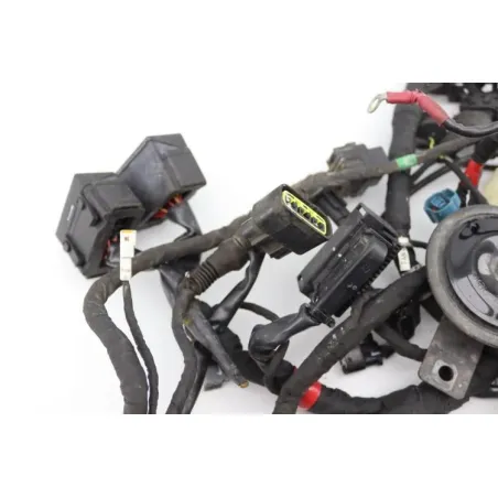 Faisceau electrique DUCATI MONSTER 1200 S ABS 2014 - 2016