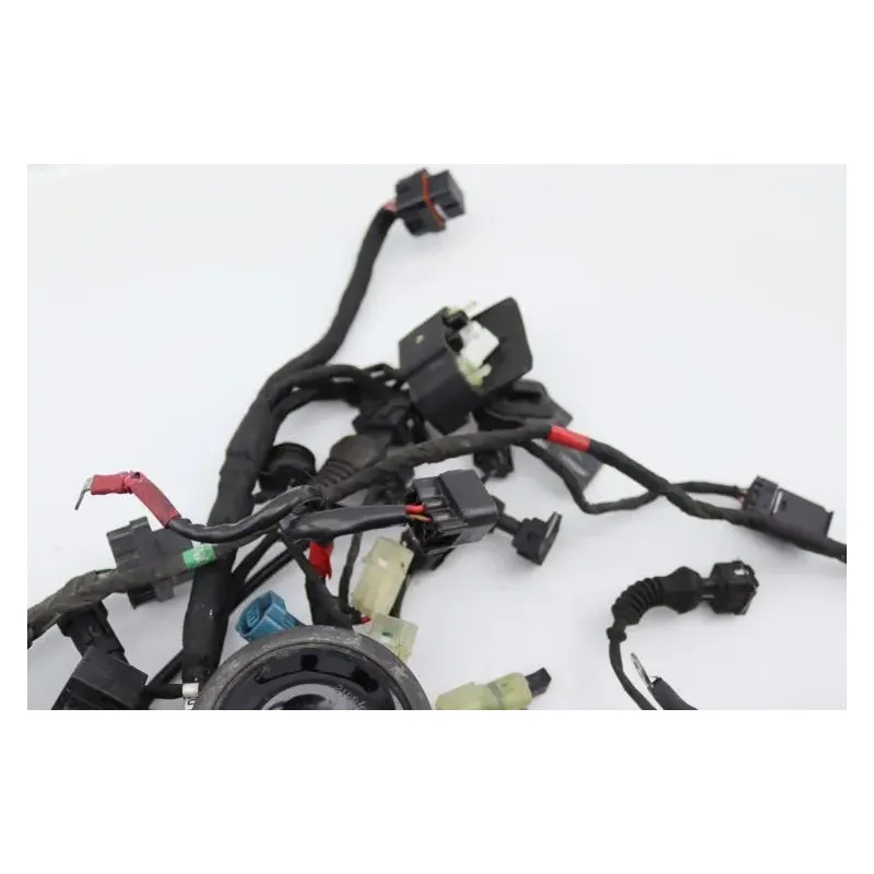 Faisceau electrique DUCATI MONSTER 1200 S ABS 2014 - 2016