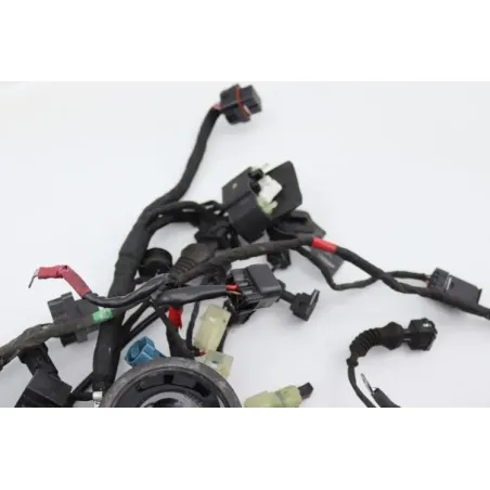 Faisceau electrique DUCATI MONSTER 1200 S ABS 2014 - 2016