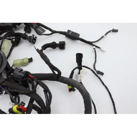 Faisceau electrique DUCATI MONSTER 1200 S ABS 2014 - 2016