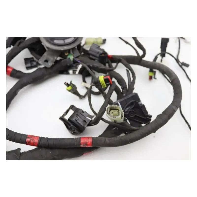 Faisceau electrique DUCATI MONSTER 1200 S ABS 2014 - 2016
