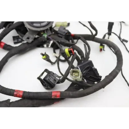 Faisceau electrique DUCATI MONSTER 1200 S ABS 2014 - 2016
