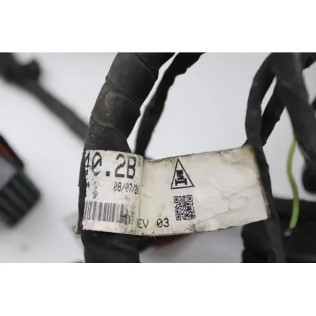 Faisceau electrique DUCATI MONSTER 1200 S ABS 2014 - 2016