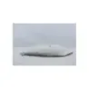 Coque arriere droit GILERA GP 800 2007 - 2009