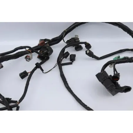 Faisceau electrique SUZUKI GSF 650 BANDIT S 2007 - 2008