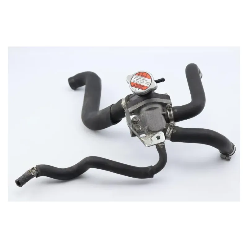Thermostat SUZUKI GSF 650 BANDIT S 2007 - 2008
