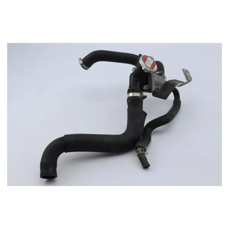 Thermostat SUZUKI GSF 650 BANDIT S 2007 - 2008