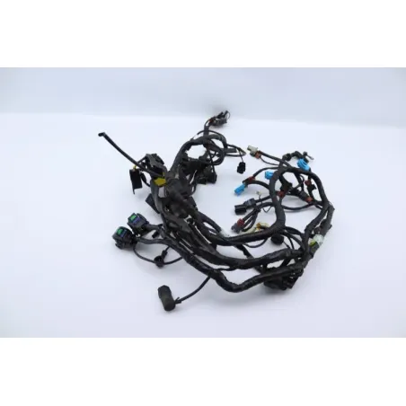 Faisceau electrique TRIUMPH SPRINT 955 RS 2000 - 2003
