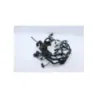 Faisceau electrique TRIUMPH SPRINT 955 RS 2000 - 2003 Faisceau electrique TRIUMPH SPRINT 955 RS 2000 - 2003