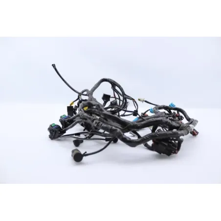 Faisceau electrique TRIUMPH SPRINT 955 RS 2000 - 2003