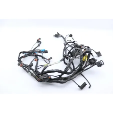 Faisceau electrique TRIUMPH SPRINT 955 RS 2000 - 2003