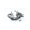 Faisceau electrique TRIUMPH SPRINT 955 RS 2000 - 2003 Faisceau electrique TRIUMPH SPRINT 955 RS 2000 - 2003