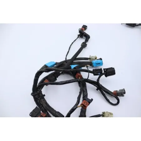 Faisceau electrique TRIUMPH SPRINT 955 RS 2000 - 2003