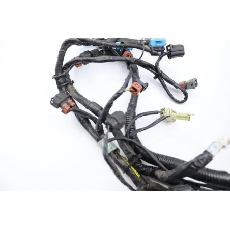 Faisceau electrique TRIUMPH SPRINT 955 RS 2000 - 2003