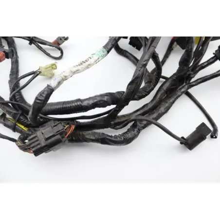 Faisceau electrique TRIUMPH SPRINT 955 RS 2000 - 2003