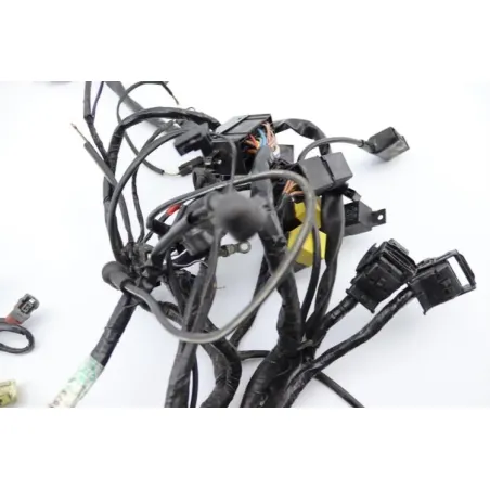 Faisceau electrique TRIUMPH SPRINT 955 RS 2000 - 2003
