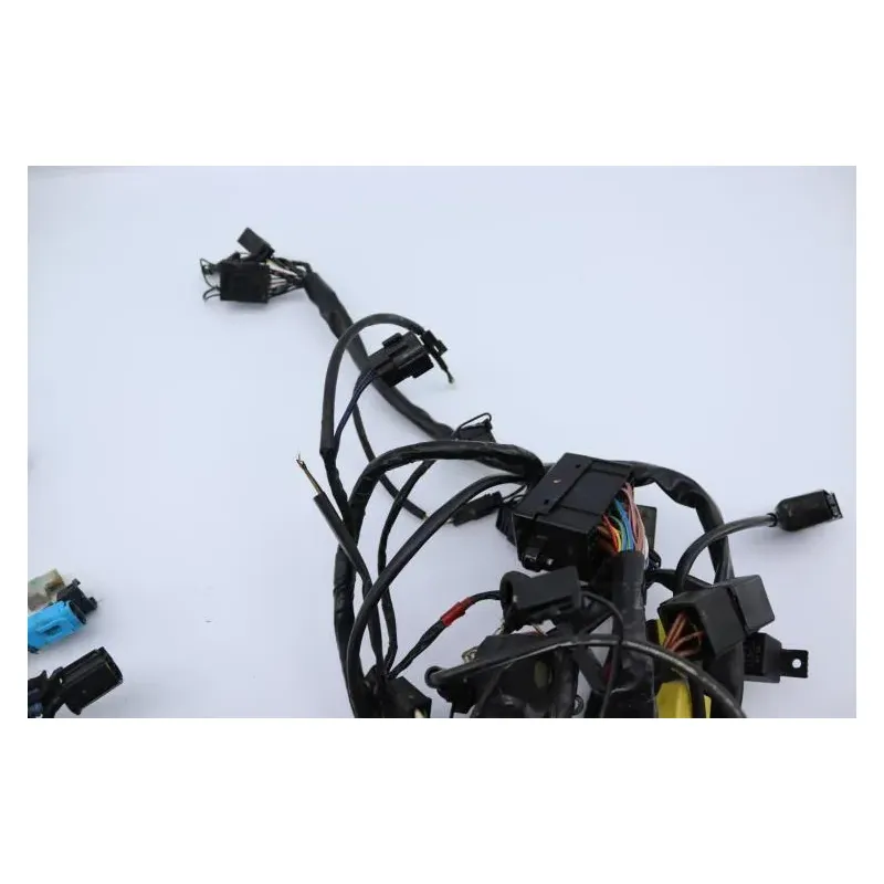 Faisceau electrique TRIUMPH SPRINT 955 RS 2000 - 2003
