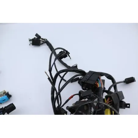 Faisceau electrique TRIUMPH SPRINT 955 RS 2000 - 2003