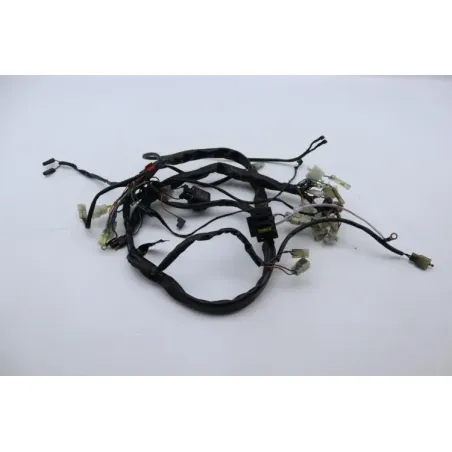 Faisceau electrique APRILIA PEGASO 650 1994 - 1996