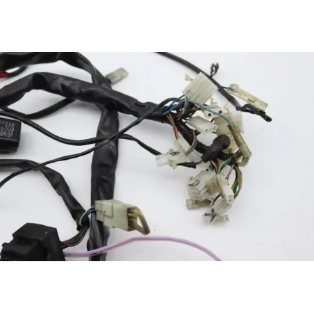Faisceau electrique APRILIA PEGASO 650 1994 - 1996