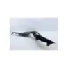 Coque arriere droit SUZUKI GSXS 125 ABS 2017 - 2025 Coque arriere droit SUZUKI GSXS 125 ABS 2017 - 2025